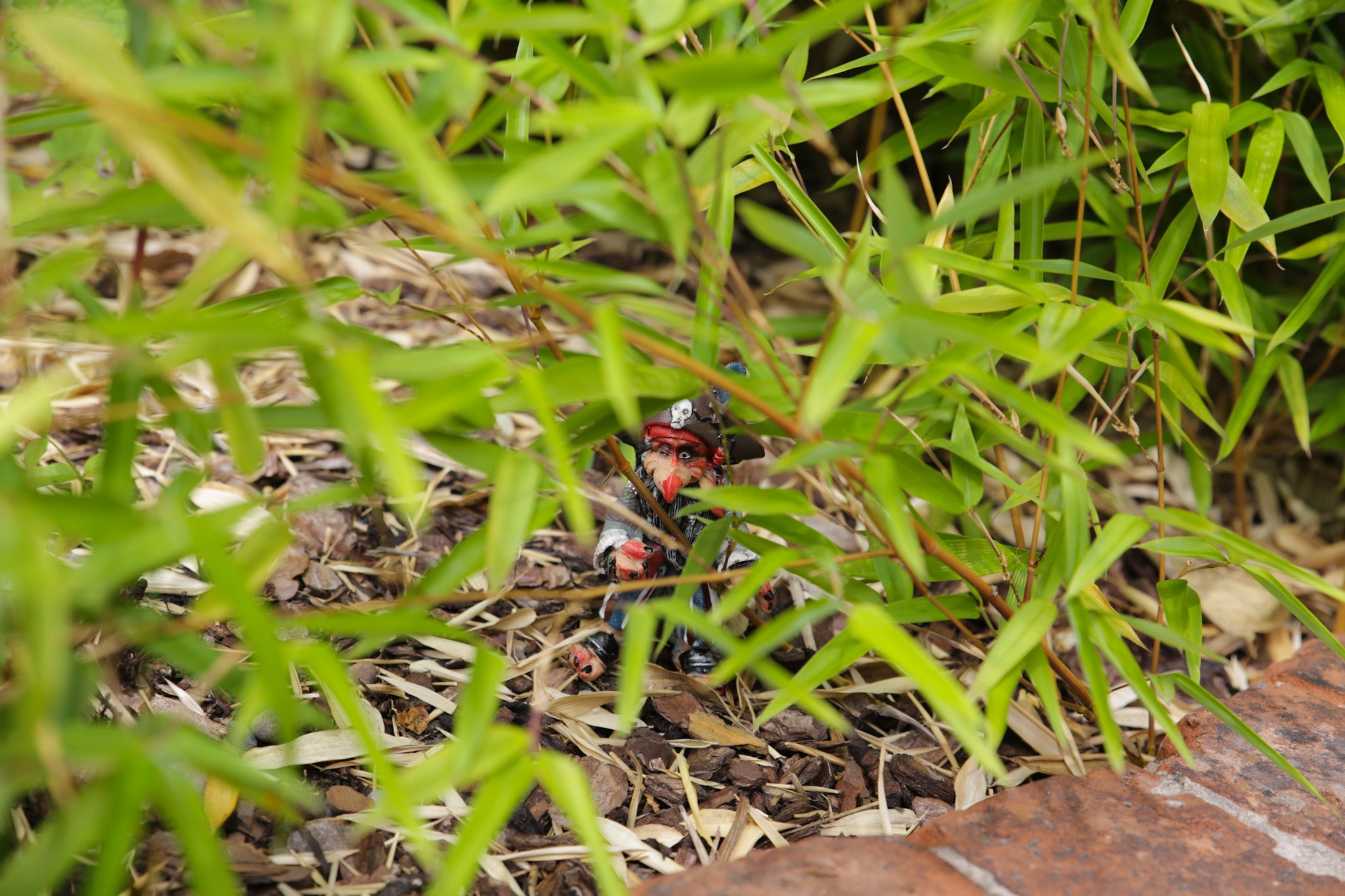 Captain Yoink - Garden Goblin